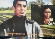 电影沸腾的生活主题曲，旋律中的故事与情感电影沸腾的生活主题曲音乐