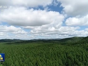 种植人的电影，人与自然的和谐共生种植人的电影有哪些