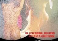 疯狂的时代，电影完整版之深度解析疯狂的时代电影完整版在线观看