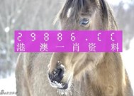 澳门一肖一码100%精准准确-全面探讨落实与释义全方位