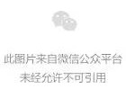 脑洞大开的电影之旅脑洞超大的电影