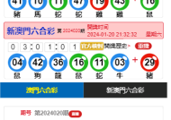 澳门六开奖结果资料-精选解析与落实的详细结果