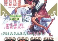 金瓶双艳——在线电影的魅力与探讨金瓶双燕演员表