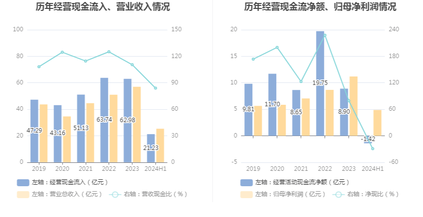 葵花药业发布2024年年度报告 三重壁垒构筑企业周期韧性|界面新闻